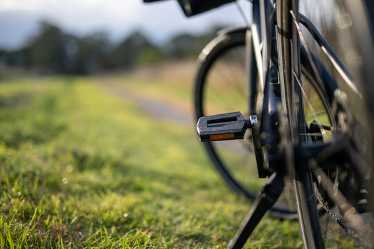 Closeup Bicycle Pedal Outdoor Pathway Greenery