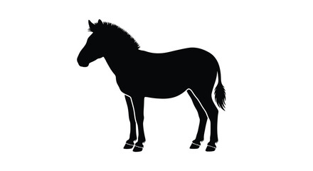 A black silhouette of a standing horse with a flowing mane and tail against a white background silhouette © Aklima