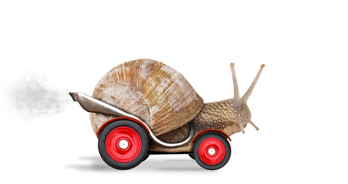 Creative concept of a fast racing snail with wheels and exhaust funny animal metaphor transportation