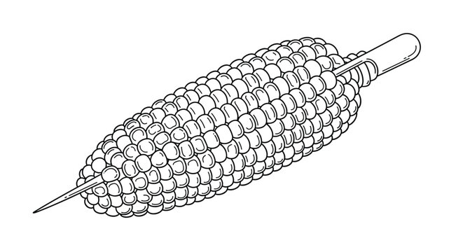 Black and white line drawing of a cob of corn with individual kernels attached to a skewer for grilling or roasting at a barbecue feast.