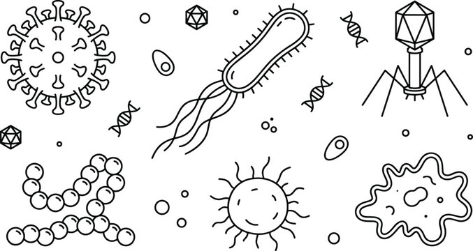 Microorganism line art vector set with viruses bacteria bacteriophage dna strands microscopic cells and amoeba icons isolated on white background