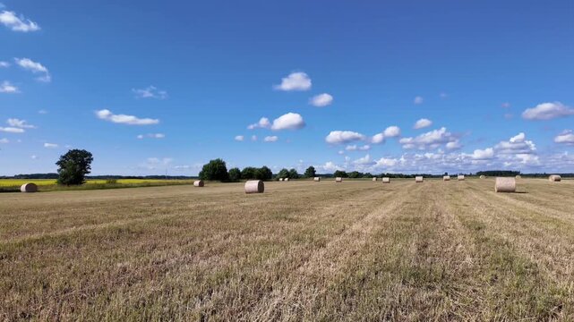 Wide panoramic panning shot of a vast harvested field filled with numerous round straw bales under a vibrant blue sky with fluffy white clouds and distant green trees.