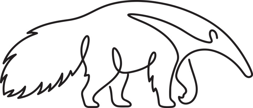 Minimalist anteater vector illustration, continuous line art drawing of a giant anteater, simple animal outline graphic, black and white wildlife emblem for branding and design projects