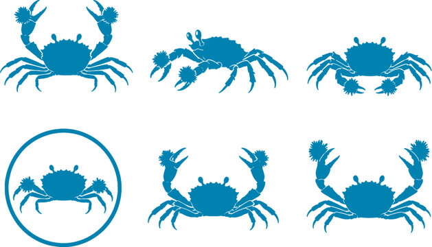 Pom Pom Crab Silhouette Icon Set Marine Crustacean Vector Collection