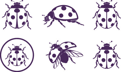 Ladybug Black Silhouette Icon Set Vector Ladybird Beetle Collection © luu