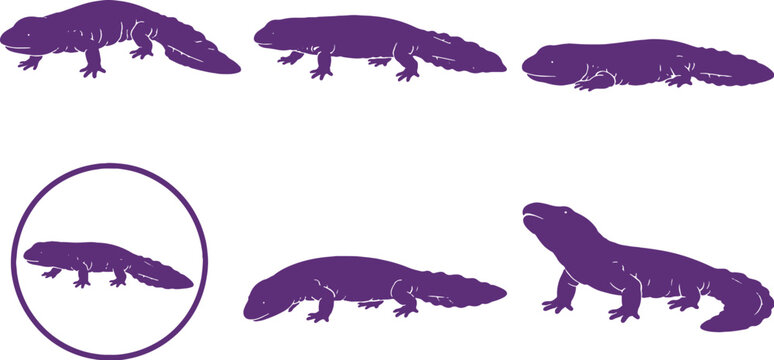 Hellbender Salamander Black Silhouette Icon Set Giant Amphibian Vector Collection
