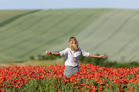 happy woman in a poppy field in  Moravia  Czech Republic