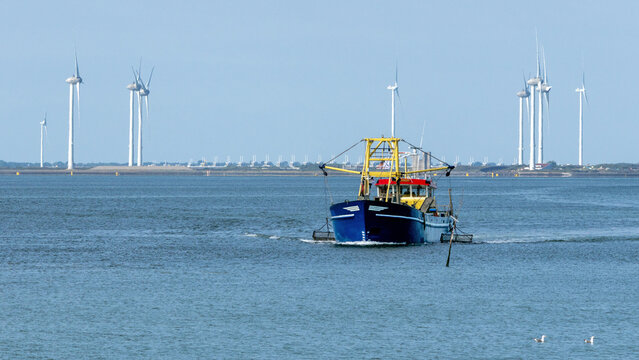Boat fishing for mussels in the Eastern Scheldt estuary (Zeeland, Netherlands) near the storm surge barrier, built up with wind turbines