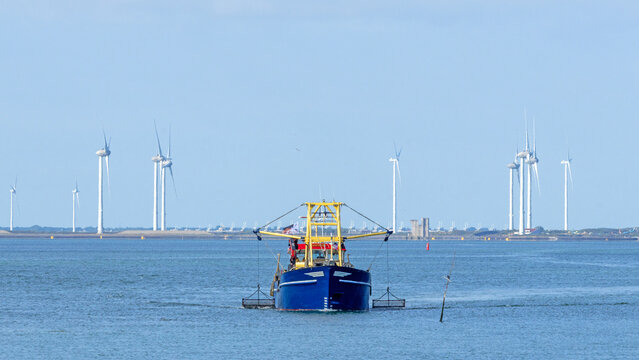 Boat fishing for mussels in the Eastern Scheldt estuary (Zeeland, Netherlands) near the storm surge barrier, built up with wind turbines
