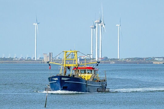 Vessel fishing for mussels in the Eastern Scheldt estuary (Zeeland, Netherlands) near the storm surge barrier, built up with wind turbines