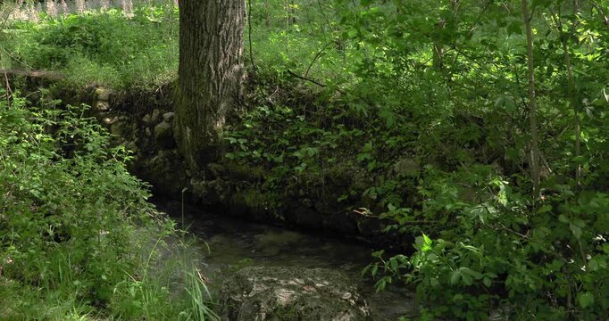  Glimpse of the Tasso river, an tributary of Lake of Scanno in Umbria region, central Italy.