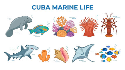 Colorful Marine Life Illustration Underwater Sea Creatures Cuba Ocean Vector Set © zyaa