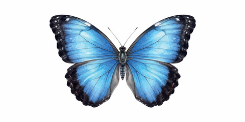 Blue butterfly isolated on white background, macro close-up of colorful wings, tropical lepidoptera insect beauty, swallowtail morpho style nature concept © creative bithi