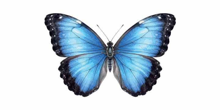 Blue butterfly isolated on white background, macro close-up of colorful wings, tropical lepidoptera insect beauty, swallowtail morpho style nature concept