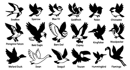 Colorful Flying Bird Vector Illustration Bundle with Diverse Wild Bird Characters in Motion on White Background © MdAbdus