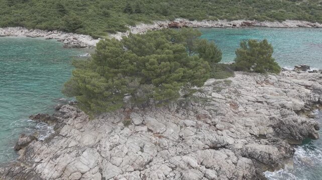 Small Rocky Island with Pine Trees in Turquoise Sea