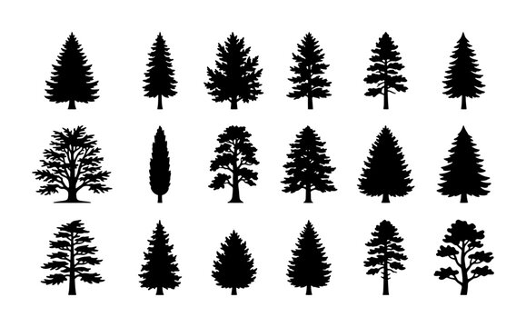 Diverse Evergreen Tree Silhouettes Vector Set, Coniferous and Deciduous Forest Icons, Nature Elements for Design
