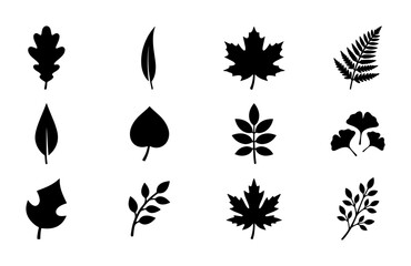 Obraz premium Diverse Leaf Silhouettes Collection, Botanical Icons Set, Autumn Foliage Vector Graphics, Nature Elements for Design