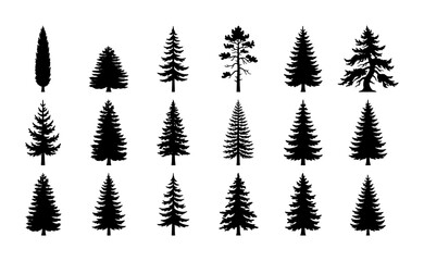 Fototapeta premium Diverse Pine Tree Silhouettes, Evergreen Conifer Vector Icons Set, Forest Nature Elements Collection for Design