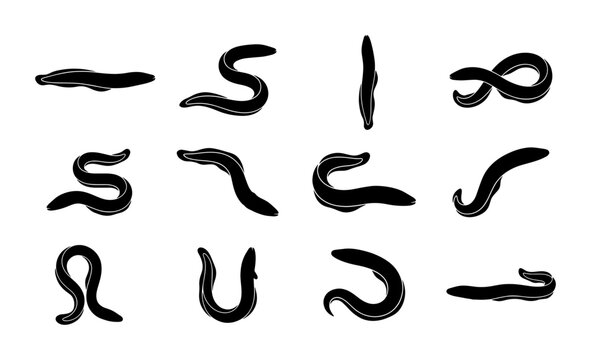 Black Vector Worms and Leeches, Simple Silhouette Shapes, Aquatic Life Icons, Nature Elements, Isolated on White Background