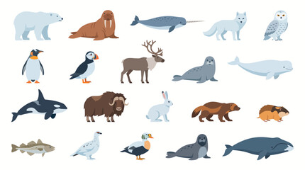 Arctic animals display various species such as a polar bear, walrus, narwhal, and snowy owl showcased in a structured set for nature enthusiasts. © labubu