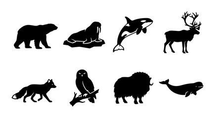 Arctic Wildlife Silhouettes: Polar Bear, Walrus, Orca, Reindeer, Fox, Owl, Musk Ox, Narwhal © Raju