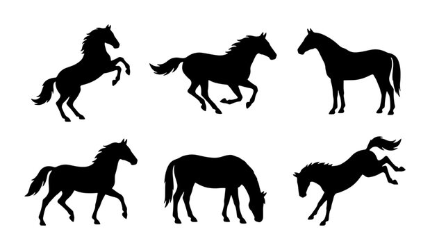 Horse Silhouettes Set: Galloping, Rearing, Grazing Equine Vector Graphics