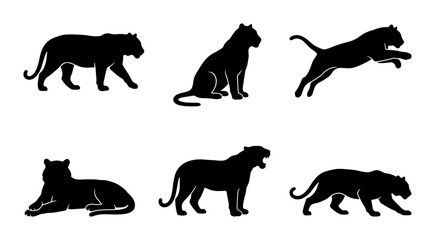 Black Panther Silhouettes, Wild Cat Vector Icons, Feline Animal Poses, Big Cat Graphic Elements © Raju