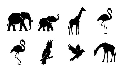 African Safari Animal Silhouettes, Tropical Bird Icons, Wildlife Vector Set, Zoo Creatures Collection © Rakib