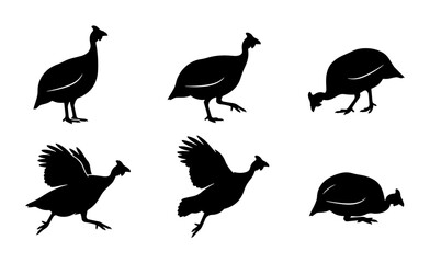 Fototapeta premium Guinea Fowl Silhouettes, Six Bird Poses, Vector Graphics, Farm Animals, Wildlife