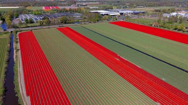Aerial wide shot of a traditional Dutch windmill surrounded by green fields, small canals, and rural country houses under a clear blue sky on a bright sunny day