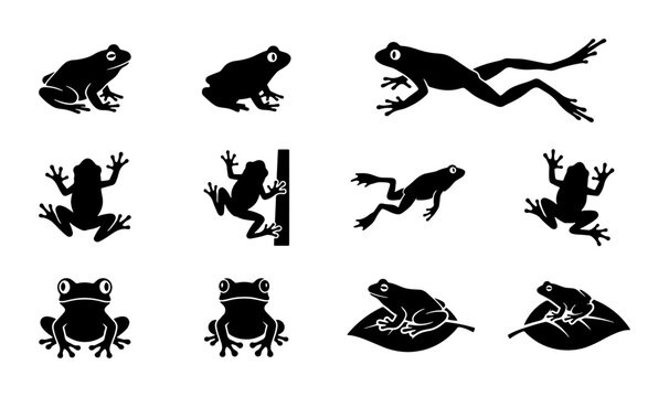 Frog Silhouettes Collection, Amphibian Vector Icons, Wildlife Animal Set, Nature Elements