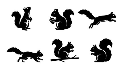 Obraz premium Squirrel Silhouettes: Six Vector Poses, Wildlife Animal Icons, Nature Graphics