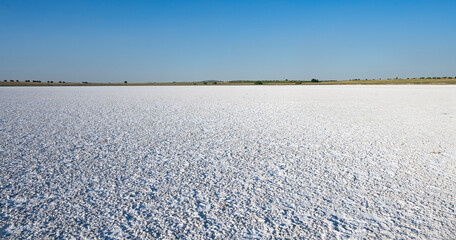 Laguna salada seca en lillo, laguna del altillo chica © tomas