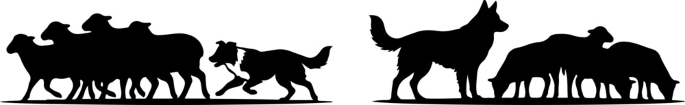 Silhouette of a border collie herding a group of sheep vector illustration