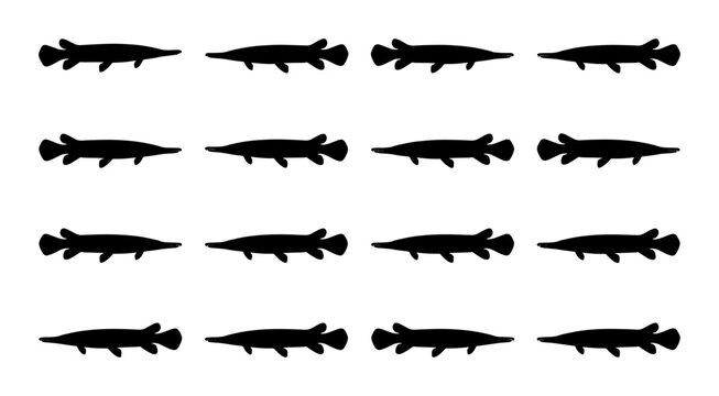 Alligator Gar Silhouette Pattern, Aquatic Wildlife Vector Art, Repeating Fish Graphic, Simple Black and White Animal Illustration