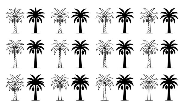 Premium date palm tree outline and silhouette vector pack with botanical line art and ripe date fruit icons isolated on white background