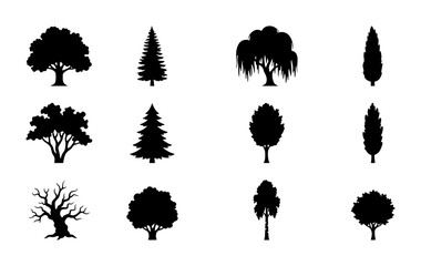 Diverse Tree Silhouettes Collection, 12 Vector Icons for Nature and Landscape Design, Botanical Elements © Faisal
