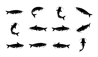 Fototapeta premium Black Silhouette Catfish Icons, Aquatic Life Vector Set, Freshwater Fish Illustrations for Seafood and Fishing Concepts