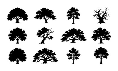 Diverse Tree Silhouettes Collection, 12 Vector Icons for Nature and Ecology Graphics, Organic Shapes and Woodland Elements © Salim