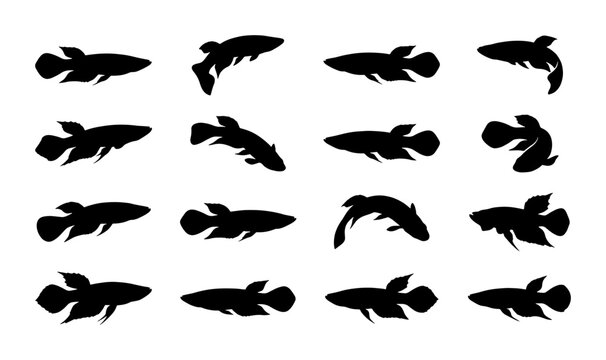 Betta Fish Silhouettes, Siamese Fighting Fish Vector Icons, Aquatic Animal Collection, Underwater Life Graphics, Black and White Marine Creature Set