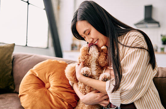 Woman hugging a poodle on a cozy sofa.