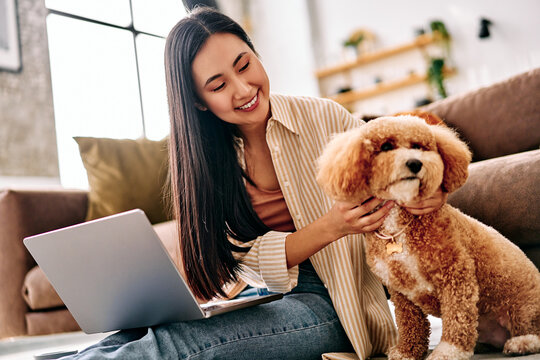 Woman working from home with pet dog.