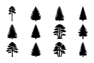 Fototapeta premium Diverse Pine Tree Silhouettes, Evergreen Conifer Vector Icons, Forest Woodland Elements, Nature Landscape Graphics