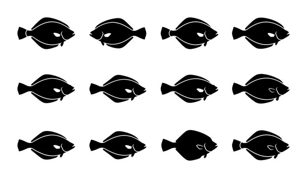 Flounder Fish Vector Icons Set, Flat Design Aquatic Marine Life Collection, Seafood Culinary Illustration, Black and White Underwater Creatures
