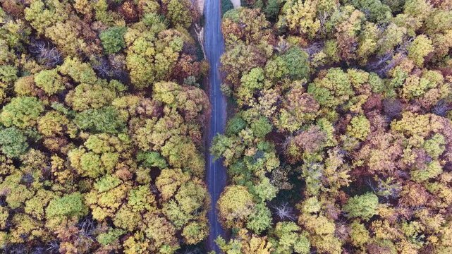 Aerial view of a narrow road winding through a dense autumn forest with colorful trees in Hervas, Extremadura, Spain.