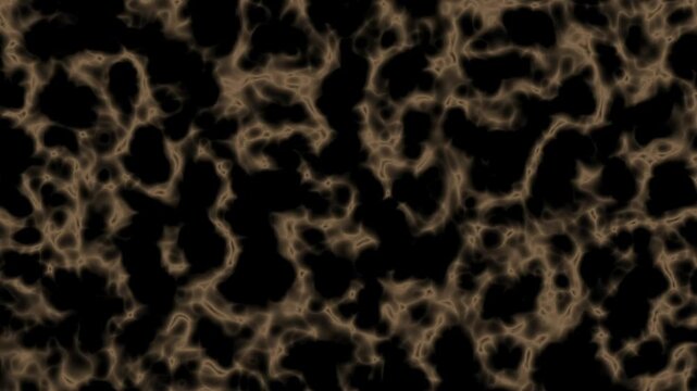 abstract golden movement with smooth flowing shapes.