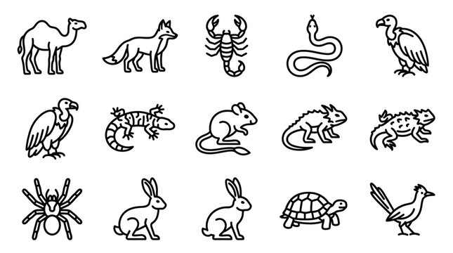 Various Animals Line Drawings Collection.