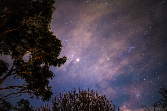 A window to the Cosmos: starry sky framed by winter trees, Mount Macedon, Victoria, Australia