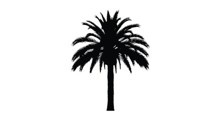 Palm tree silhouette against a white background tropical vegetation outline © Nazrul
